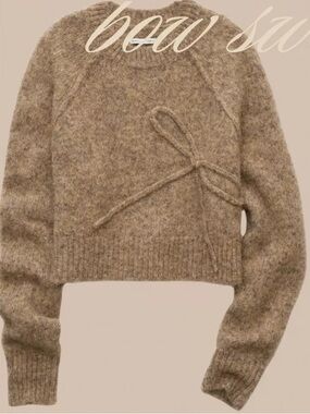 American Eagle Outfitters Bow Detail Sweater - Brown